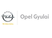 client__0019_opelgyulai